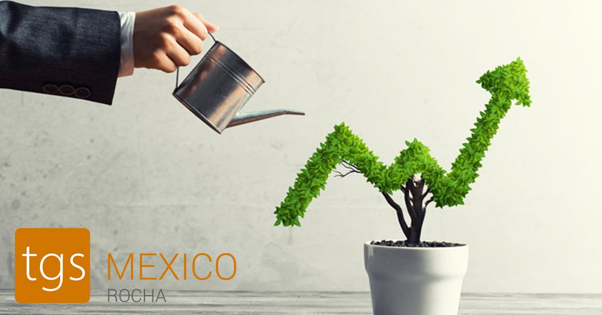 Doing Business In Mexico: Why Are Things Slower?